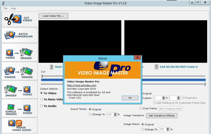 Video Image Master Pro Crack With Latest Version