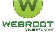 Webroot SecureAnywhere Antivirus download